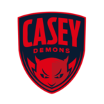 casey300